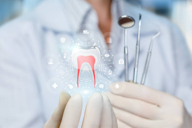 Best Preventive Dentistry  in Gloucester Courthouse, VA